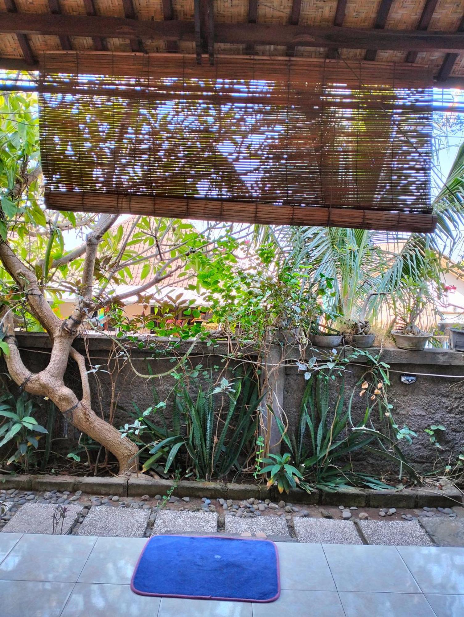 Dharma Yoga Homestay Dan Hostel Αμέντ Εξωτερικό φωτογραφία